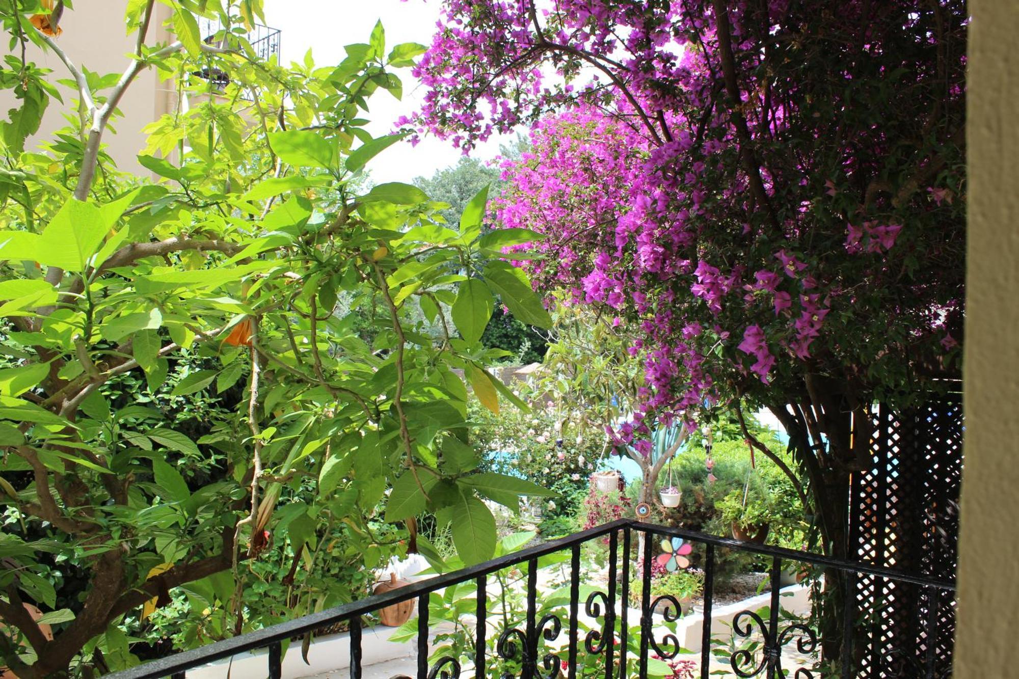Tunacan Hotel Oludeniz Exterior foto