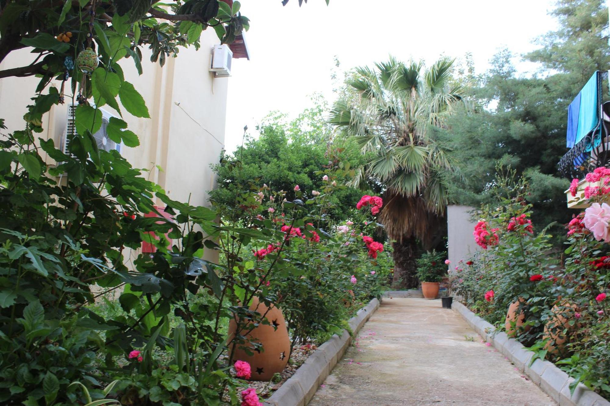 Tunacan Hotel Oludeniz Exterior foto